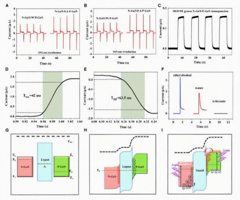 A liquid water-molecule-based graphene heterogeneous photodetector and its utility in an oximeter