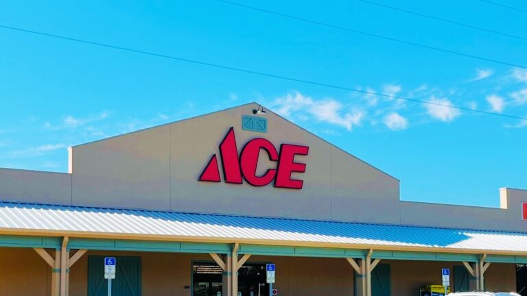 Ace {Hardware} says 1,202 gadgets have been hit throughout cyberattack