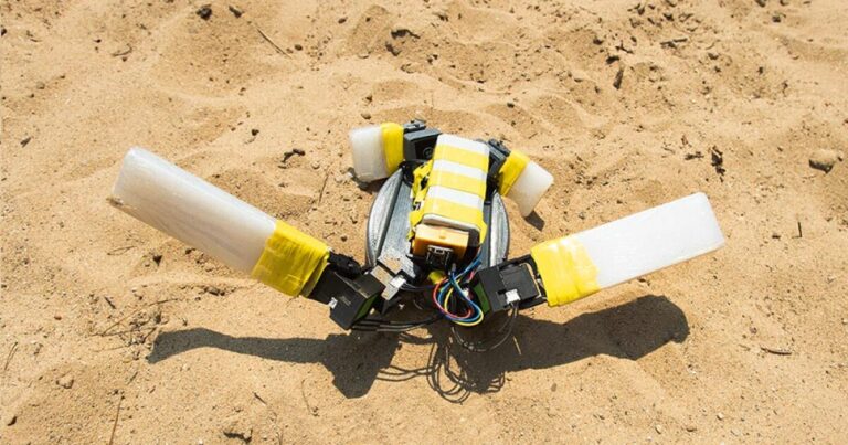 Adaptable turtle-bot makes use of 4 flippers to scoot throughout the sand