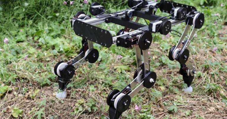 Canine-inspired robotic retains operating by itself as soon as began