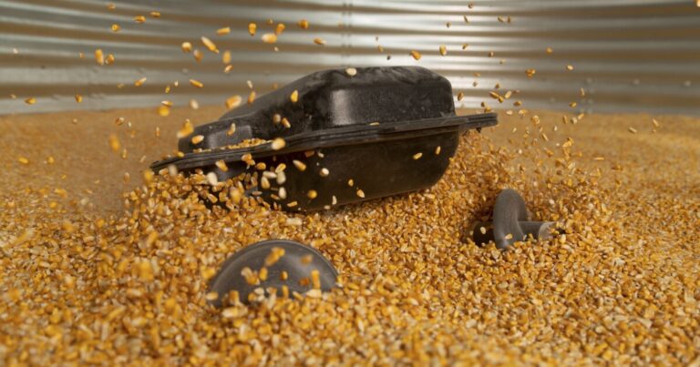 Grain-flinging robotic goes into granaries so farmers do not need to