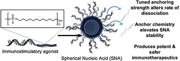 New Technique to Improve Immunostimulation