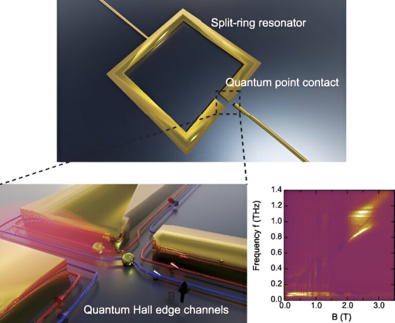 Single nanoscale hybrid system for learning the vacuum fluctuation subject