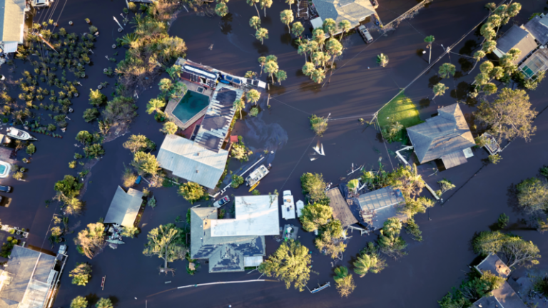 Verizon Local weather Resilience Prize Winner Highlight: Raincoat