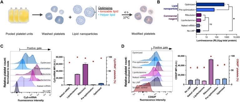 Genetically engineered cell therapies with mRNA lipid nanoparticles for transferrable platelets