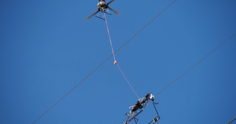 Drone-deployed Mini LineFly robotic crawls energy strains to avoid wasting birds