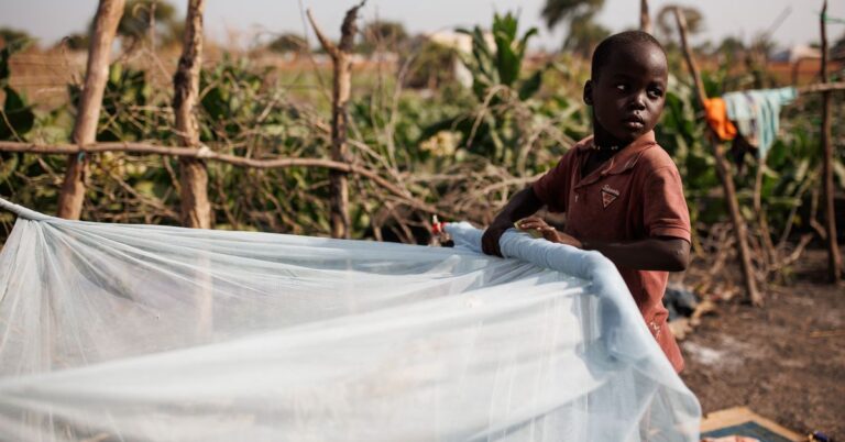 Mosquito nets save lives. So why is VC Marc Andreessen towards them?