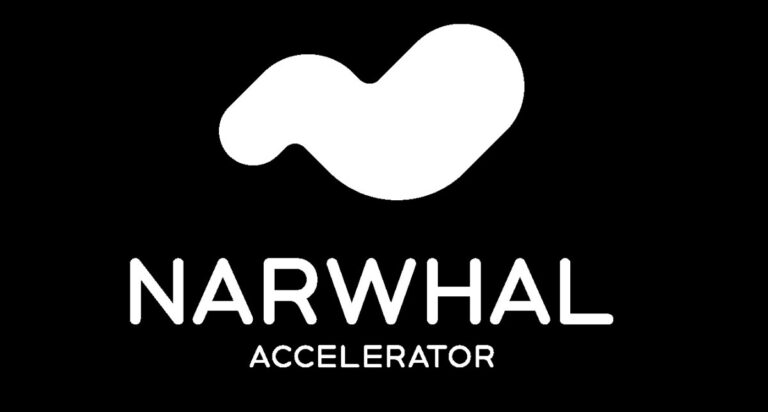 Narwhal Accelerator launches to help sport dev startups