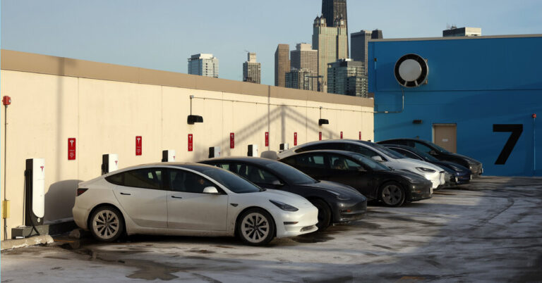 Tesla Revenue From Automobile Gross sales Falls as Worth Cuts Harm