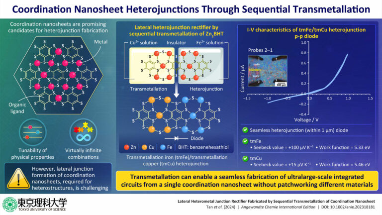 A brand new ‘steel swap’ technique for creating lateral heterostructures of 2D supplies