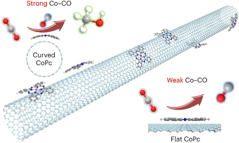 Curved carbon nanotubes improve electrocatalysts for carbon neutrality