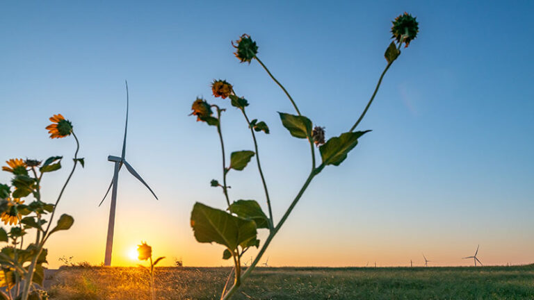 Earlier than You Set up Wind Power Know-how, Verify Out This Database