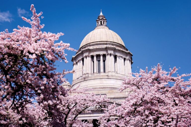 A take a look at the 2024 Washington state legislature