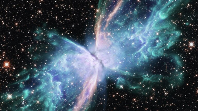 Exploding Stars Are Uncommon—but when One Was Shut Sufficient, It May Threaten Life on Earth