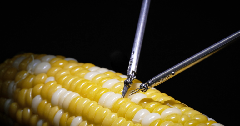 Sony’s new microsurgery robot stitches up a corn kernel